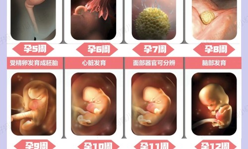 【小儿呼吸内科】儿童呼吸内科最厉害三个医生 - 儿童呼吸科与内科区别网