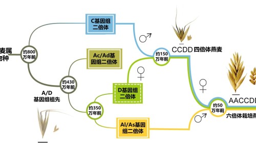 儿童呼吸科与内科区别大吗-【小儿呼吸内科】儿童呼吸内科最厉害三个医生 - 儿童呼吸科与内科区别网